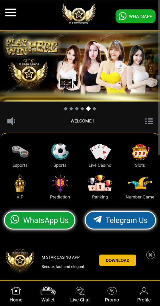 mstar02