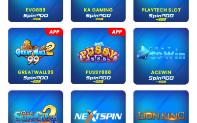 spinngo-03